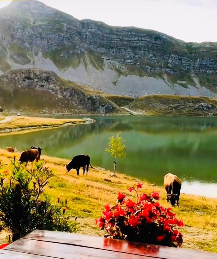 Kapetanovo Jezero Bungalov Bed and Breakfast Ποντγορίτσα Εξωτερικό φωτογραφία